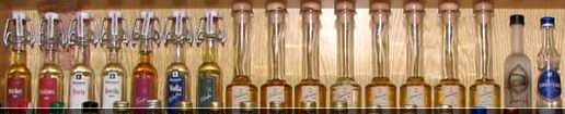 SSaM - Spolek Sběratelů alkoholických Miniatur